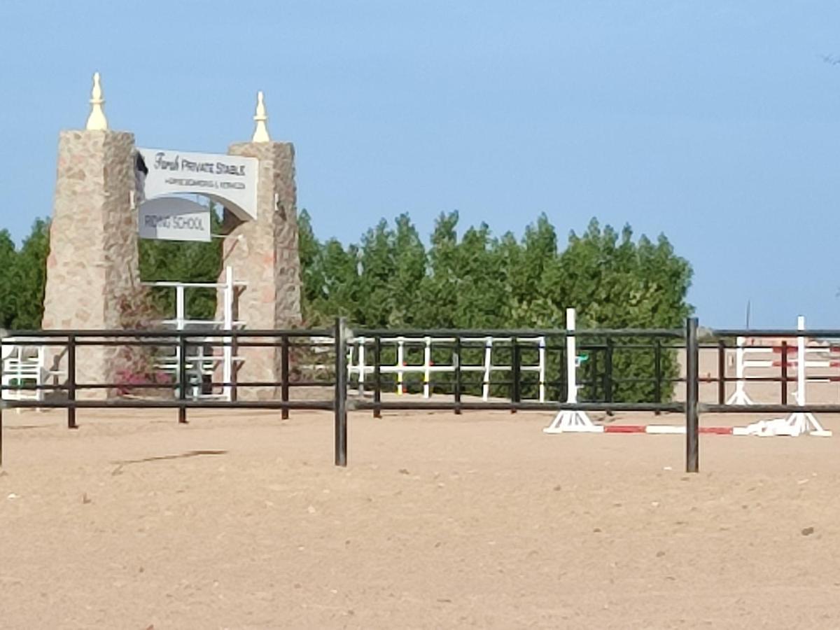 Joynant-Gouna Kite Road-2Room Mangroovy Free Beach Access - Pool View- フルガダ エクステリア 写真